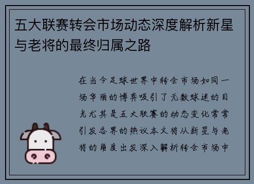 五大联赛转会市场动态深度解析新星与老将的最终归属之路