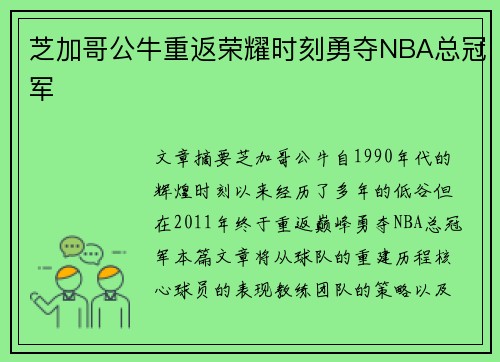 芝加哥公牛重返荣耀时刻勇夺NBA总冠军